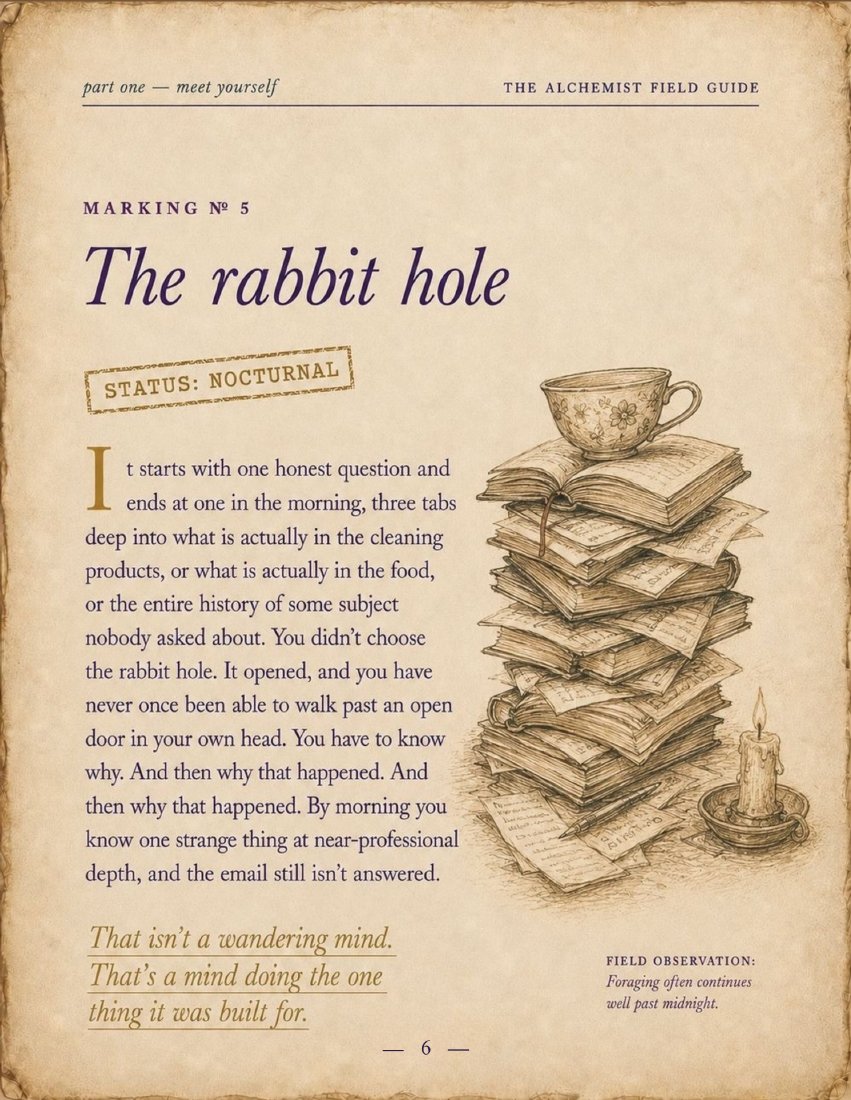 Illustrated page titled The Rabbit Hole, with a teetering stack of books and a cold cup of tea