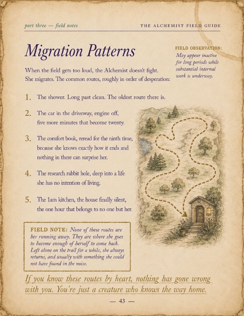 Migration Patterns page with an illustrated map of quiet routes